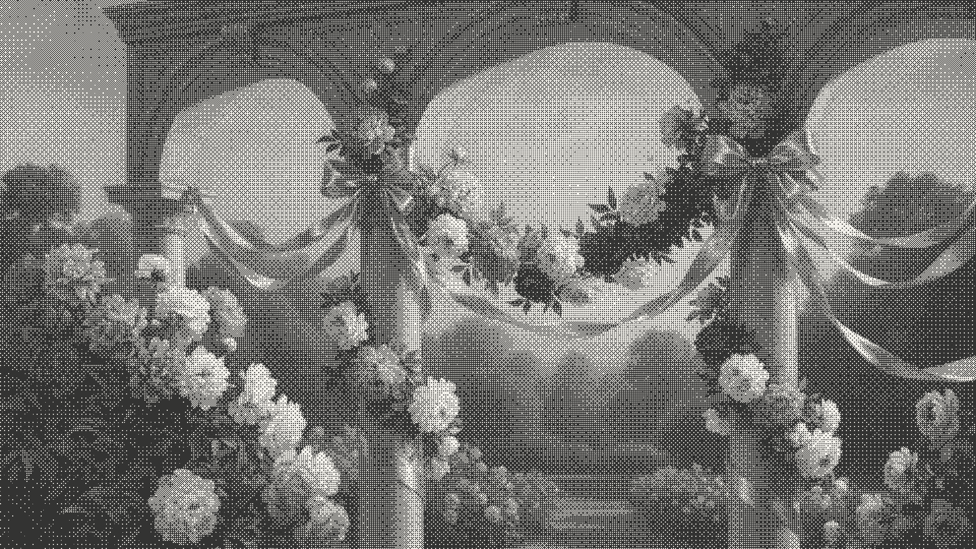 Interlinked arches framing a shared garden workspace